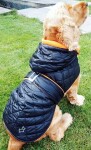 Coldy bunda pro psa s kapucí Barva: Černo-modrá, Délka zad (cm): 30, Obvod hrudníku: 26 - 40 cm