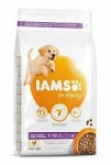 Iams Dog Puppy Large Chicken 3kg