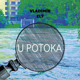 U potoka - Vladimír Zlý - audiokniha