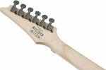 Ibanez RG450DX Classic Silver