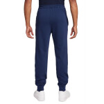 Kalhoty Nike Club Fleece M FQ4330-410 L (183 cm)