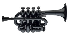 Coolwind CWPT-200BK