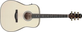 Ibanez AAD371E ATW
