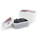 ROTHO DOMINO sada dóz do mrazničky 4 x 0.5 L