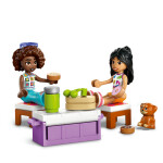 LEGO LEGO® Friends 42659 Výlet v autě s přáteli