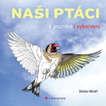 Naši ptáci k poznání a vybarvení - Václav Minář