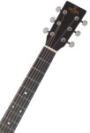 Sigma Guitars