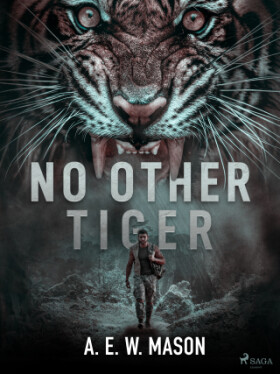 No Other Tiger - A. E. W. Mason - e-kniha