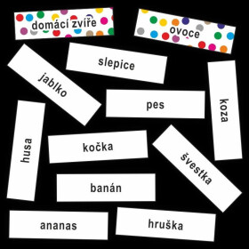 Význam slov - kartičky se slovy určené k třídění slov dle významu - Jitka Rubínová