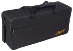 Bacio Instruments BSS-100C