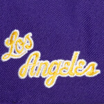 Mitchell & Ness Pánská kšiltovka Los Angeles Lakers NBA Team Script 2.0 Pro Snapback Hwc