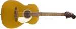Fender California Deluxe Monterey E AZG