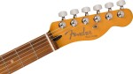 Fender Player Plus Telecaster PF FRD