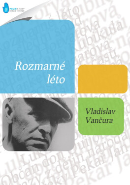 Rozmarné léto - Vladislav Vančura