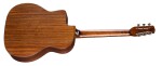 Eastman DM1-CLA