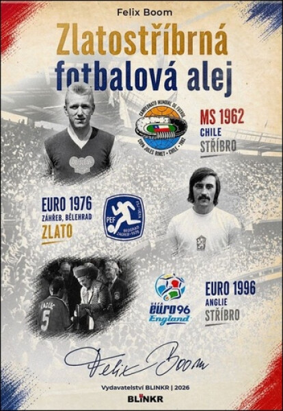 Zlatostříbrná fotbalová alej - Felix Boom