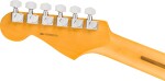 Fender American Professional Stratocaster MN DK NIT
