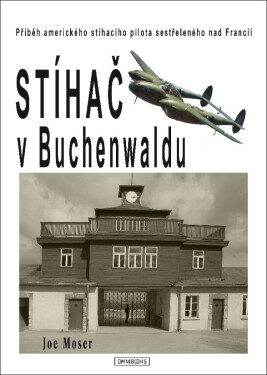 Stíhač v Buchenwaldu - Joseph F. Moser