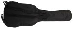 Tanglewood EM C2