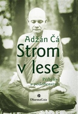 Strom lese