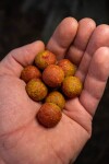 Chytil Master Carp Boilies 16mm 250g - Med,Chytil Master Carp Boilies 16mm 250g - Med