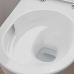 HANSGROHE - EluPura S Závěsné WC se sedátkem SoftClose, Rimless, AquaChannel Flush, SmartClean, EcoSmart, bílá 61186450