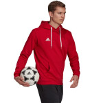 Pánská mikina Entrada 22 Hoody H57514 Adidas