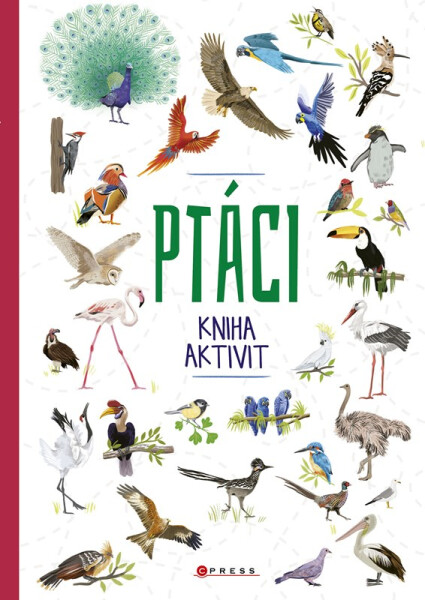 Ptáci - kniha aktivit - Kolektiv