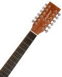 Tanglewood TW12 CE