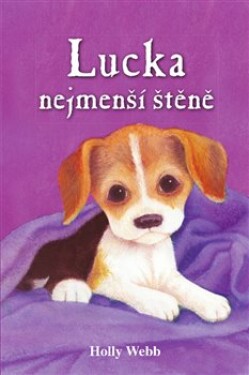 Lucka, nejmenší štěně Holly Webb