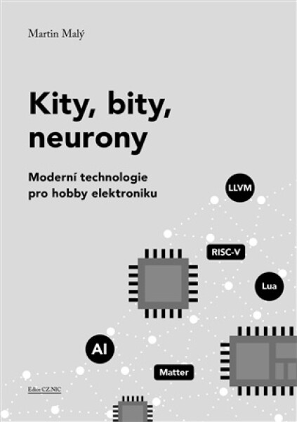 Kity, bity, neurony