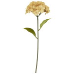 Ib Laursen Umělá květina Hydrangea Gold 60 cm, žlutá barva, plast