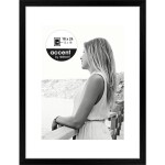 Franken BS0703 vyměnitelný fotorámeček Formát papíru: DIN A2 (š x v x h) 45 x 62.4 x 1.2 cm stříbrná