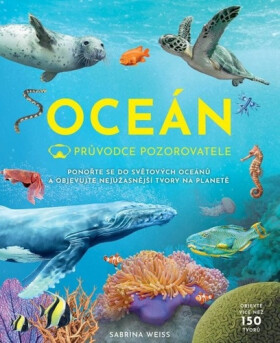 Průvodce pozorovatele: Oceán