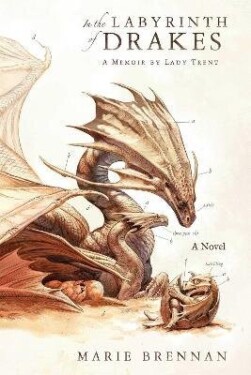 In the Labyrinth of Drakes - Marie Brennan