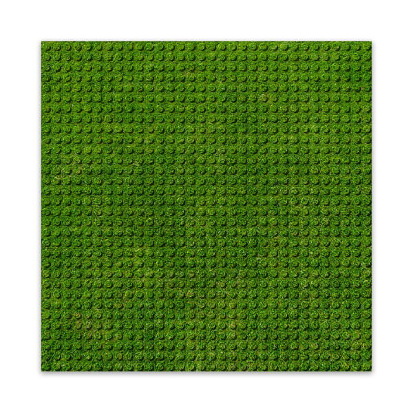 BRIXIES Plus 225.000 Designová podložka na stavění - tráva 25,5 x 25,5 cm