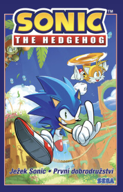 Ježek Sonic 1 - První dobrodružství - Ian Flynn - e-kniha