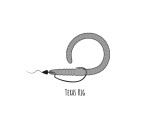 Libra Lures Flex Worm 9,5cm 10ks - Apple Green,Libra Lures Flex Worm 9,5cm 10ks - Apple Green