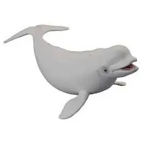 Collecta Běluha severní