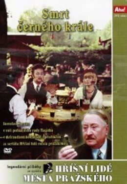 Smrt černého krále - DVD - Jiří Marek
