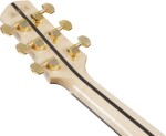Ibanez AAD371E ATW