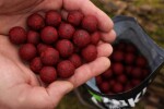 Nikl Boilies Gigantica Attractive 900g 20mm (2002576)