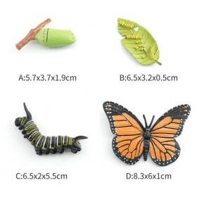 C - Figurka Motýl Monarcha stěhovavý 4 vývojové fáze 8 cm