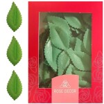 List růže zelený olivový, oplatek 100 ks