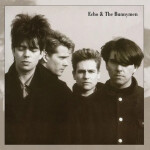 Echo & The Bunnymen - CD - & The Bunnymen Echo