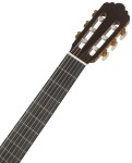 Yamaha GC22C