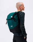 Batoh Aevor Daypack Proof Evergreen