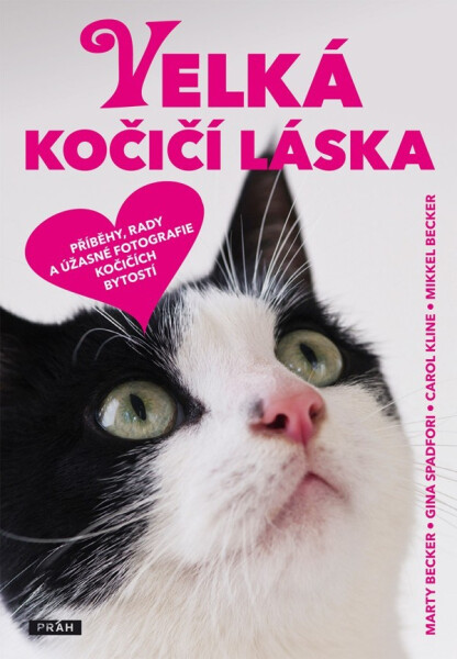 Velká kočičí láska - kolektiv autorů