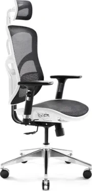 Diablo V-Basic bílo-černá / ergonomická židle / nastavitelná / síťovaná / pojezdová kolečka / nosnost 150 kg (V-BASICBIACZ)