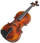 Violin Schönbach Inferno